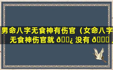 男命八字无食神有伤官（女命八字无食神伤官就 🌿 没有 🐎 儿女）